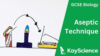 Culturing Microorganisms Required Practical Aseptic Technique  GCSE Biology  kaysciencecom [upl. by Ashjian978]