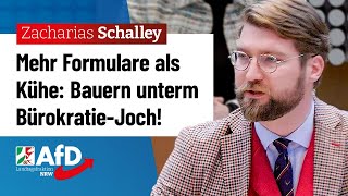 Bauern unterm BürokratieJoch – Zacharias Schalley AfD [upl. by Aivatnohs447]