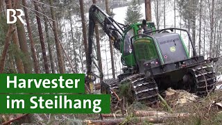 Mit Harvester und Seilwinde Bäume fällen am Steilhang im Frankenwald  Agrartechnik  Unser Land [upl. by Llenrup]