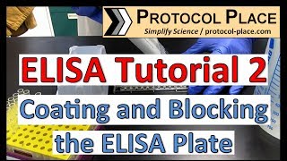 ELISA Tutorial 2 Coating and Blocking the ELISA Plate [upl. by Yahiya]