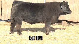 MacDonald Ranches Performance Power 2024 Sale Video [upl. by Nivlek]