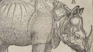 Rhinoceros Albrecht Dürer 1515 [upl. by Norehs]