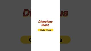 Dioecious Plants neet neet2025 botany biology aiimsBotanyNeet [upl. by Trakas]