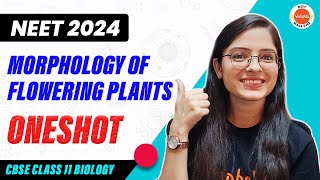 Morphology of Flowering Plants in One Shot  CBSE Class 11 Biology  NEET 2024 [upl. by Acirej146]