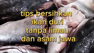 SEMINIT RESEPI  TIPS BERSIHKAN IKAN DURI TANPA MENGGUNAKAN LIMAU ATAU ASAM JAWA [upl. by Eelta]