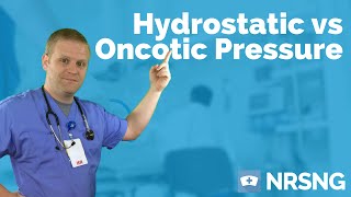 Hydrostatic vs Oncotic Pressure  Osmosis albumin fluid management edema [upl. by Elwee]