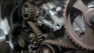 Ford 16TDCi Timing Belt with water pump replacement  How to tutorial [upl. by Atibat]