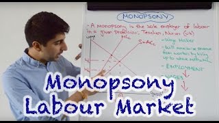 Monopsony  Labour Market Impact [upl. by Lledo]