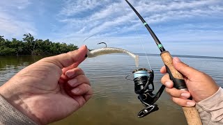 Essential Summertime Lure for Snook amp Redfish [upl. by Uranie]