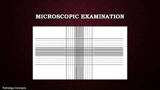 Microscopic examination of CSF  Cerebrospinal Fluid  Microscopy [upl. by Bartholomew]