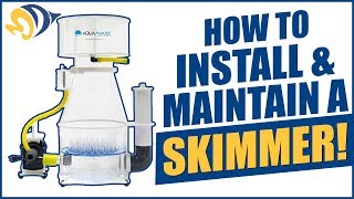 How to Install and Maintain an InSump Protein Skimmer [upl. by Lap]