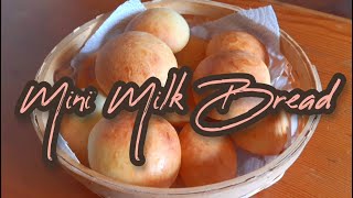 COME FARE I PANINI AL LATTE  MINI MILK BREAD [upl. by Aned]