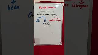 Placental Hormones hcg placenta hormones estrogen biochemistry [upl. by Fein]