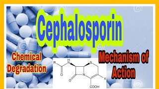 Chemical Degradation of Cephalosporin  Mechanism of action  Antibiotic Betalactam part 10 [upl. by Akihsar]