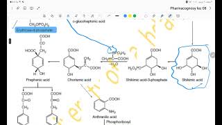 Amino alkaloids or alkaloidal amines lec8 [upl. by Navac789]