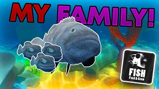 STARTING A FAMILY IN FEED amp GROW FISH [upl. by Denney]