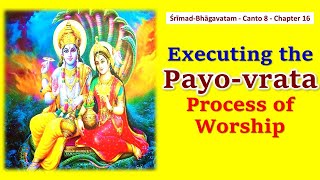 SB 816 Srimad Bhagavatam  Canto 8  Chapter 16 Executing the Payovrata Process of Worship [upl. by Audrie]