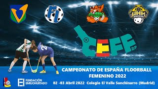 Campeonato de España Floorball 2022  Final [upl. by Nnek261]