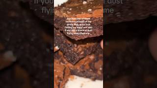 Fudgiest brownies i have ever had brownies trend trending explorepage baking cooking fudgy [upl. by Ahtivak]