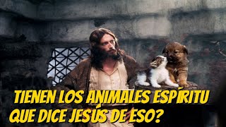 Tienen los animales espíritu qué dice Jesús [upl. by Lekim604]