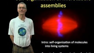 Tim Mitchison Harvard Part 1 Selforganization of microtubule assemblies [upl. by Assadah]