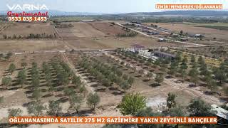 OĞLANANASINDA SATILIK 275 M2 GAZİEMİRE YAKIN ZEYTİNLİ BAHÇELER [upl. by Bethezel556]