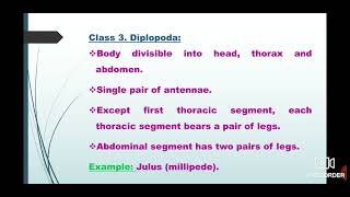 Animal Kingdom  Phylum Arthropoda Classification  Class 11 Neet Kashmiri Language [upl. by Marrin937]