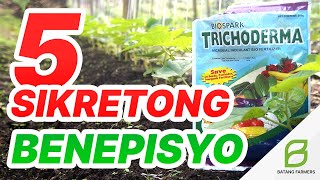 TRICHODERMA 5 Sikreto Sa Mabilis Na Paglago Ng Halaman  Mga Benepisyo  Biocontrol Agent [upl. by Nekcarb]