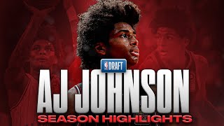 AJ Johnson Season Highlights  Offense amp Defense  2024 NBA Draft [upl. by Annotahs794]