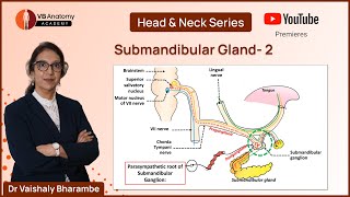 Submandibular Gland2 and Submandibular ganglion with Dr Vaishaly Bharambe [upl. by Jehanna]