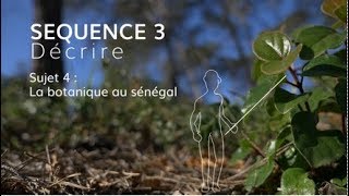 Séquence 3 sujet 4  La botanique au Sénégal [upl. by Yllil734]