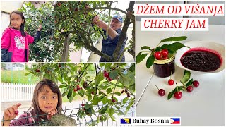 Branje višanja sa djedom i pravljenje džema  Picking cherry with grandpa and make jam [upl. by Deedahs]