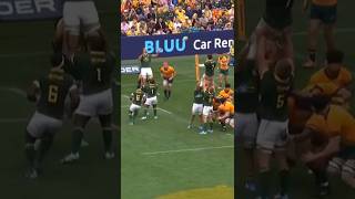 DOUBLE LINEOUT TRY SPRINGBOKS  SIYA KHOLISI vs Australia 2024 springboks lineout rugby [upl. by Iphagenia971]