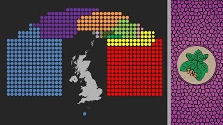 What is tactical voting [upl. by Lysander]