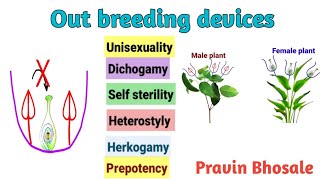 Outbreeding Devices in Hindi  Reproduction in lower and higher plants [upl. by Colson]