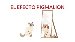 EL EFECTO PIGMALION [upl. by Ladd836]