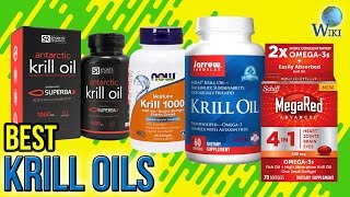 10 Best Krill Oils 2017 [upl. by Nofpets587]