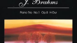 Johannes Brahms  Piano Trio no1 in B major Op8 [upl. by Immak]