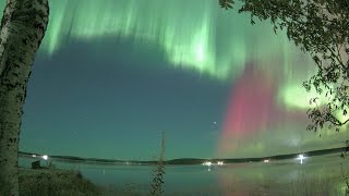 Aurora Alert Realtime Live [upl. by Suneya862]