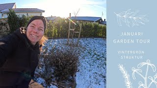 JANUARI GARDEN TOUR  Växter som tillför struktur i vinterträdgården [upl. by Nyladgam618]