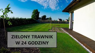 ZIELONY TRAWNIK W 24 GODZINY trawnik nawożenie trawnika nawożenie dolistne nawóz dolistny [upl. by Zea269]