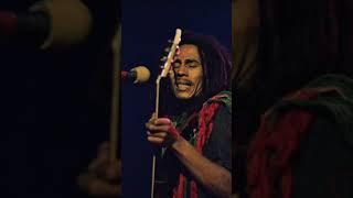 Bob Marley reggae onelove jamaica music rastafari love life shorts ytshorts caribbean bgm [upl. by Riabuz]