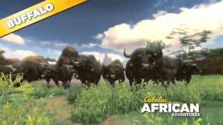 Cabelas African Adventures Cape Buffalo 360 [upl. by Atnohs790]