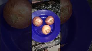 4 easy techniques to solve kitchen problemsshortsvideos shortsfeed ytshortsamazingkitchentips [upl. by Ettelra813]