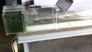 Wave Generator Flum Model using Arduino [upl. by Tteve]