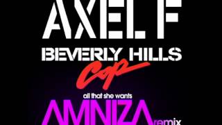 Beverly Hills Cop  Axel F Amniza Remix 2012 All That She Wants [upl. by Jonina]