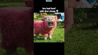 Minecraft Sheep Moment [upl. by Allesig]