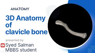 3D ANATOMY  CLAVICLE BONE ANATOMY  SYED SALMAN MBBS STUDENT [upl. by Sophia]