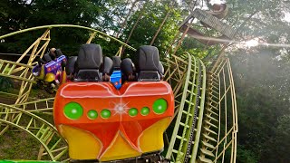 Cobra Back Row On Ride Freizeitland Geiselwind 2024 [upl. by Barolet]