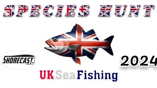 UK Sea Fishing Species Hunt 2024 monthly competition multiple winners [upl. by Akinat]